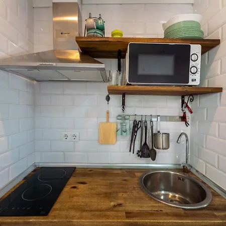 Apartamento Terol * 萨洛